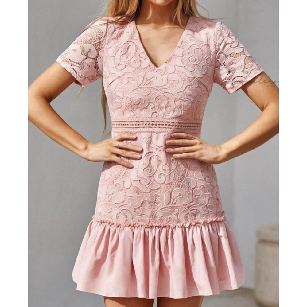 TWOSISTERS THE LABEL Missha Pink Mini Dress Women 6 A-Line Lace Ruffle Zip Party